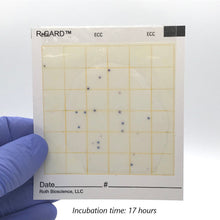 Load image into Gallery viewer, R-CARD® E. coli + Coliform (3 mL) Water Testing Kit