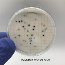 Load image into Gallery viewer, Colichrome® MF ECC-A - 1 Bottle