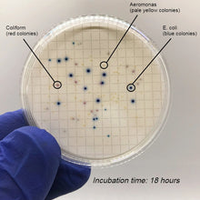 Load image into Gallery viewer, Colichrome® MF ECC-A - 1 Bottle