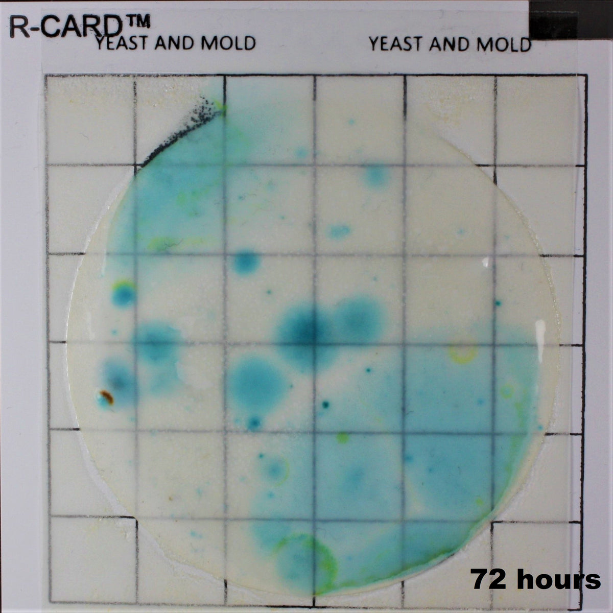 R-CARD® Yeast and Mold - Rapid Test with Accurate Count - 25 Tests – Roth  Bioscience, LLC