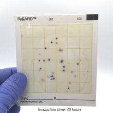 Load image into Gallery viewer, R-CARD® E. coli + Coliform (1 mL) Water Testing Kit