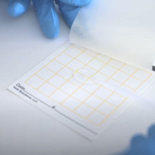 Load image into Gallery viewer, R-CARD® Listeria - Pack of 25