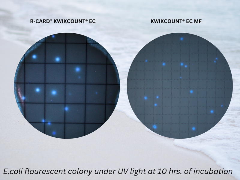 SIMPLIFICATION OF THE KWIKCOUNT® EC MF METHOD (USEPA Approved - 40 CFR Part 136.3)