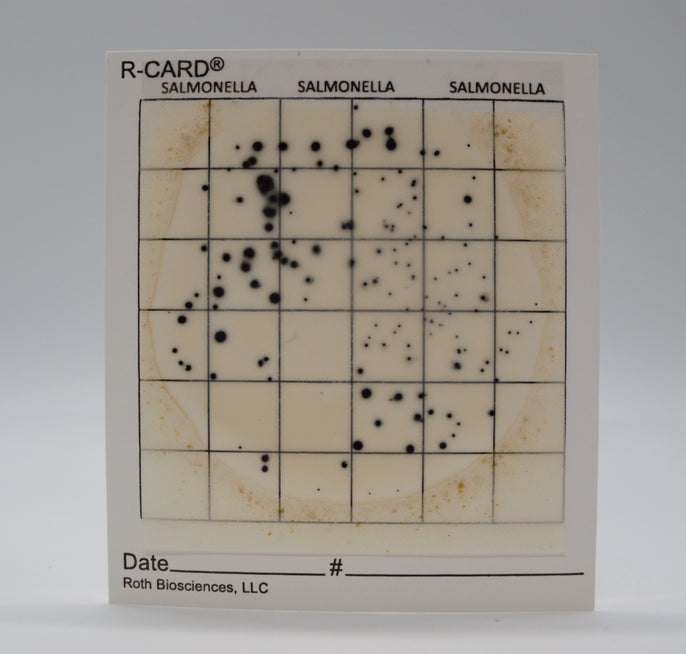R-CARD® Salmonella - Carton of 500