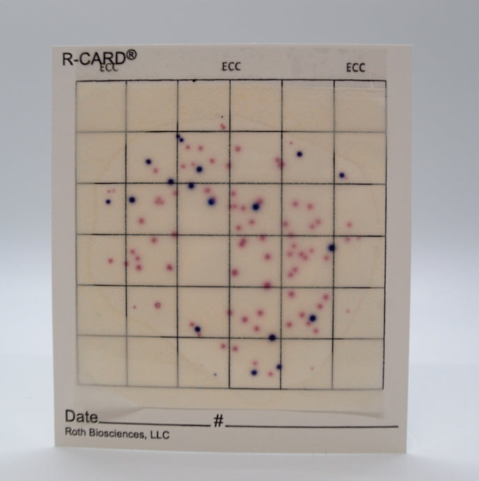 R-CARD® ECC - Carton of 500