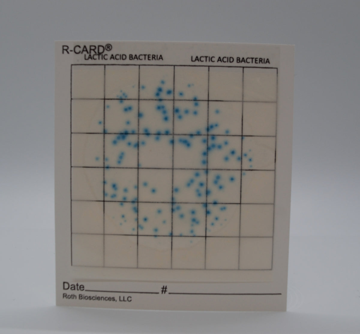 R-CARD® Lactic Acid Bacteria - Rapid Test for Lactobacillus - Pack of ...