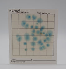 Load image into Gallery viewer, R-CARD® Yeast and Mold - Carton of 500
