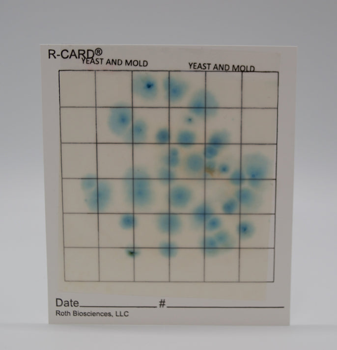 R-CARD® Yeast and Mold - Carton of 500