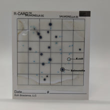 Load image into Gallery viewer, R-CARD® Salmonella EC - Pack of 25
