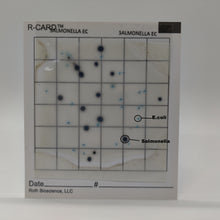 Load image into Gallery viewer, R-CARD® Salmonella EC - Carton of 500
