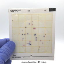 Load image into Gallery viewer, R-CARD® E. coli + Coliform (3 mL) Water Testing Kit
