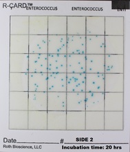 Load image into Gallery viewer, 2-Sided R-CARD® (Patent Pending)
