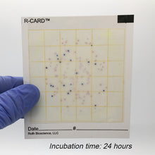 Load image into Gallery viewer, R-CARD® ECC-A - Carton of 500
