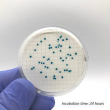 Load image into Gallery viewer, Colichrome® MF Coliform - 10 Pack (100 Tests)
