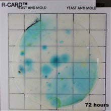 Load image into Gallery viewer, R-CARD® Yeast and Mold - Carton of 500
