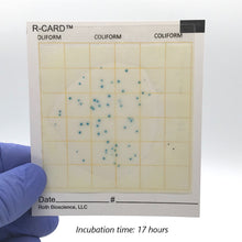 Load image into Gallery viewer, R-CARD® Coliform - Pack of 25
