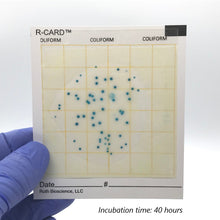 Load image into Gallery viewer, R-CARD® Coliform - Pack of 25
