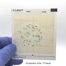 Load image into Gallery viewer, R-CARD® E. Coli - Carton of 500
