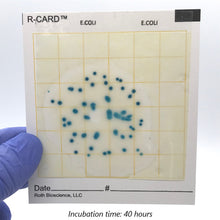 Load image into Gallery viewer, R-CARD® E. Coli - Carton of 500
