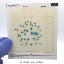 Load image into Gallery viewer, R-CARD® E. Coli - Pack of 25
