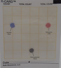 Load image into Gallery viewer, INTRODUCTORY Antibiotic Sensitivity Test Kit (pack of 10) REGULAR PRICE $25
