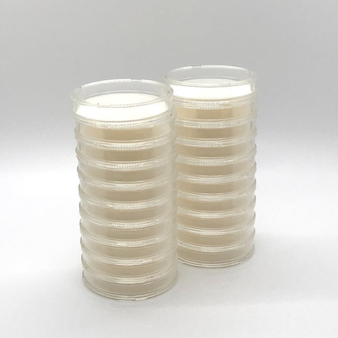Petri Dish with Pad, 50mm - Pack of 20